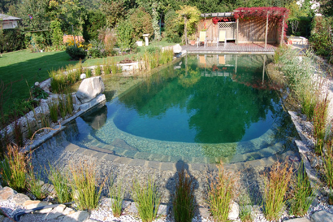 Teichbau, Biotopbau